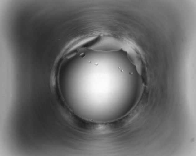 X0000099560060200805231520