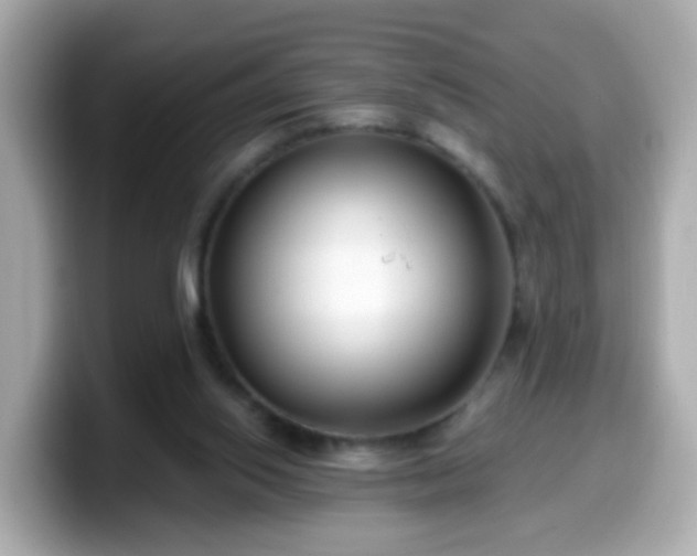 X0000099560062200805231520