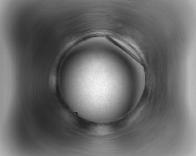 X0000099560063200805231520