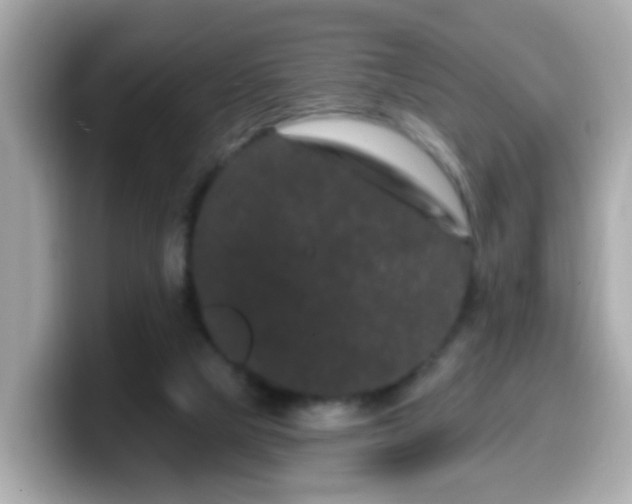 X0000099560065200805231520