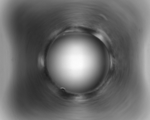 X0000099560068200805231520