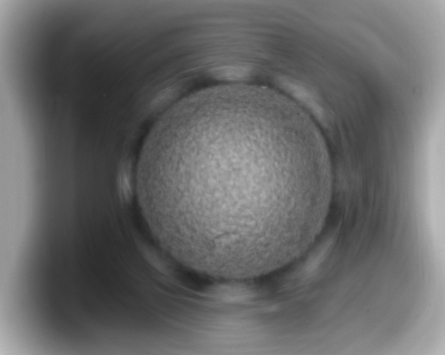 X0000099560069200805231520