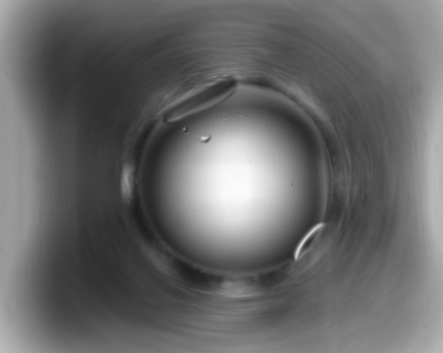 X0000099560070200805231520