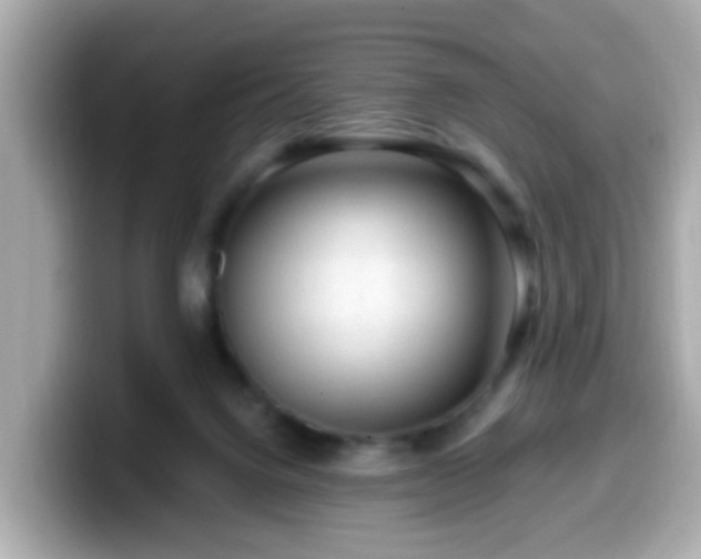 X0000099560072200805231520