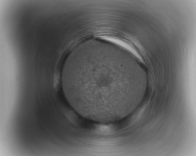 X0000099560073200805231520