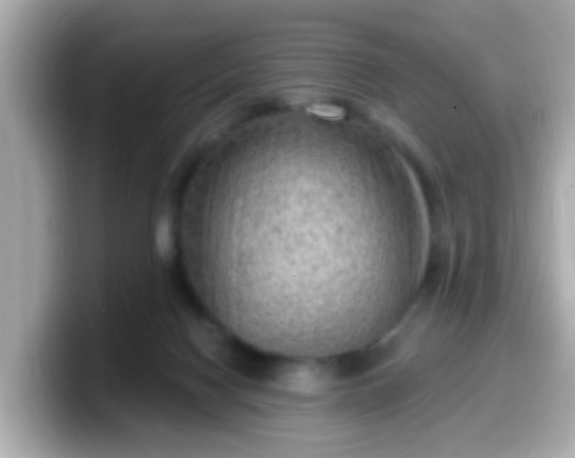 X0000099560074200805231520