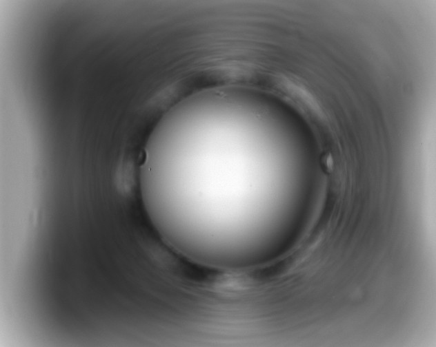 X0000099560077200805231520