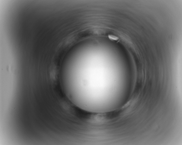 X0000099560078200805231520