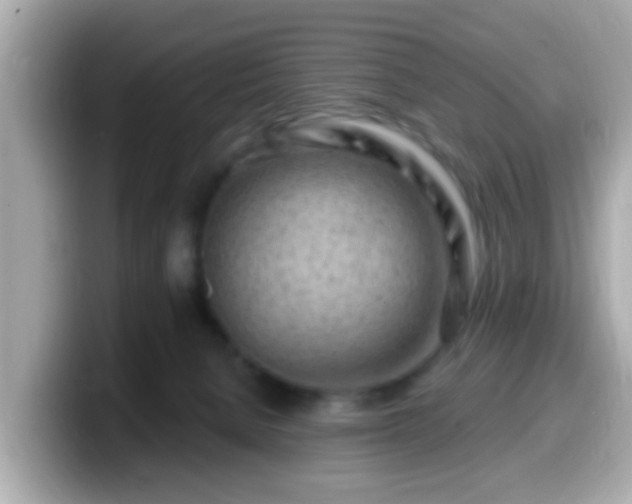 X0000099560080200805231520