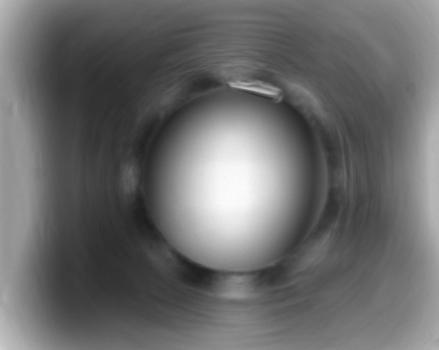 X0000099560081200805231520