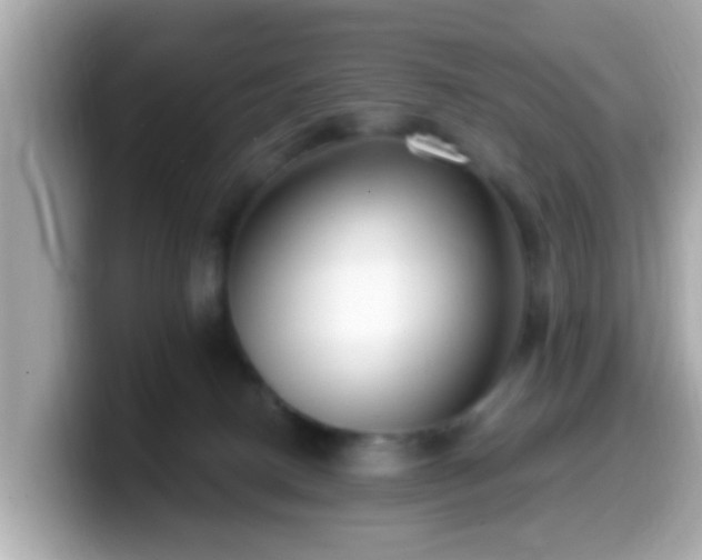 X0000099560082200805231520