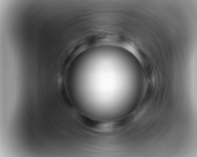 X0000099560084200805231520