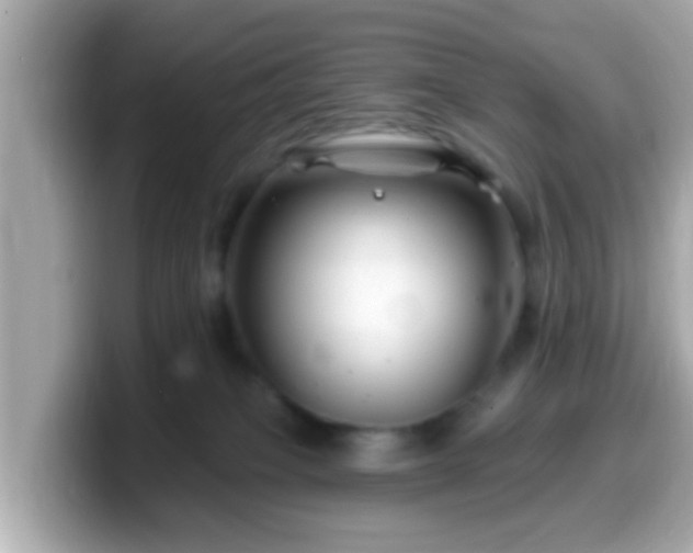 X0000099560085200805231520