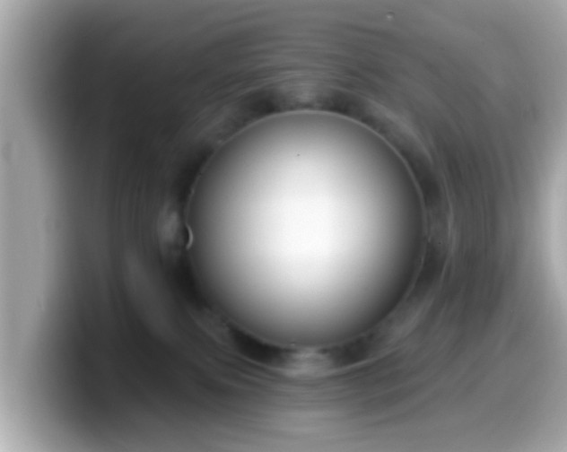 X0000099560087200805231520