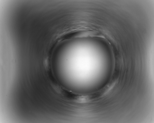 X0000099560088200805231520