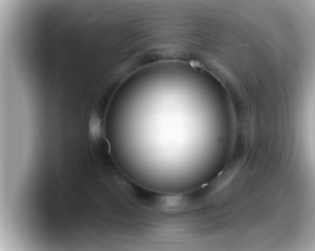 X0000099560089200805231520