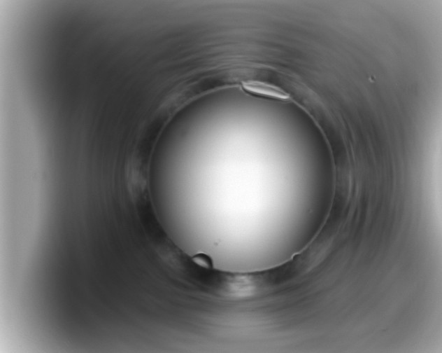 X0000099560091200805231520