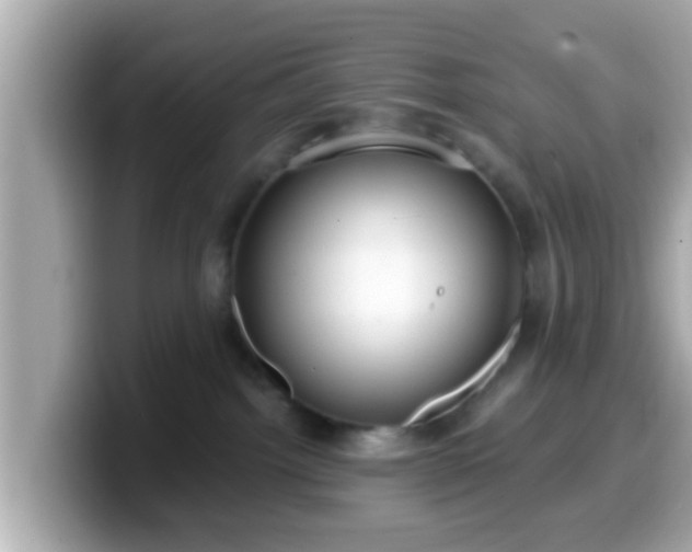 X0000099560092200805231520