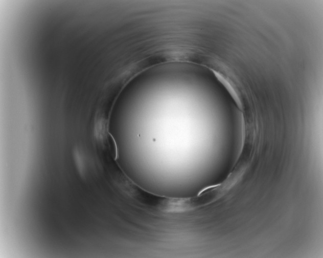 X0000099560093200805231520