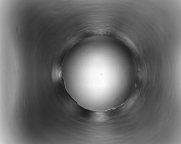 X0000099560095200805231520