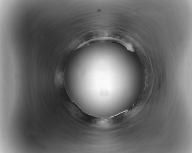 X0000099560096200805231520