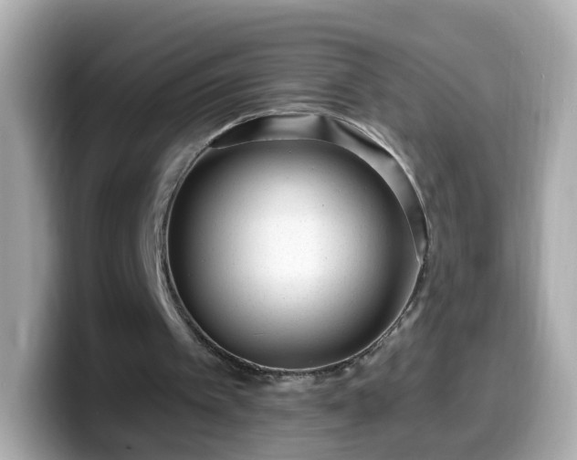 X0000099560097200805231520