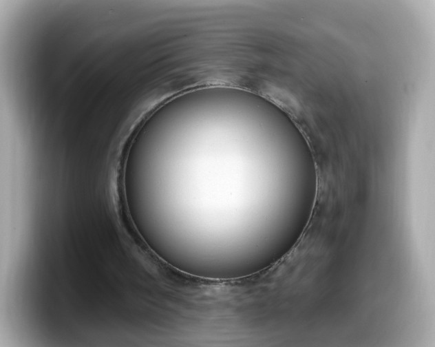 X0000099560098200805231520