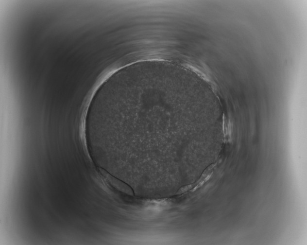 X0000099560099200805231520