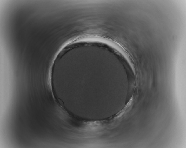 X0000099560100200805231520