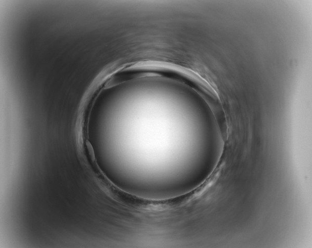 X0000099560101200805231520