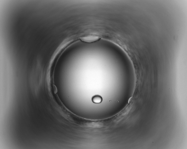 X0000099560102200805231520