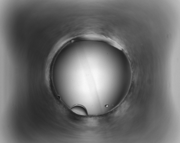 X0000099560103200805231520