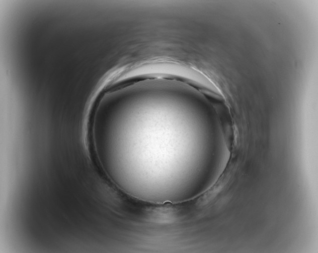 X0000099560104200805231520