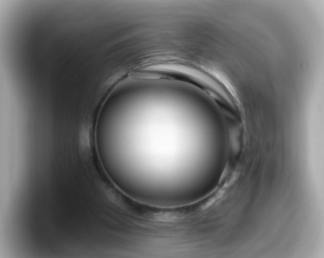 X0000099560105200805231520