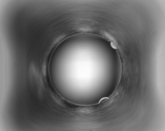 X0000099560106200805231520