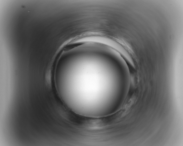 X0000099560108200805231520