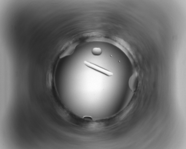 X0000099560109200805231520