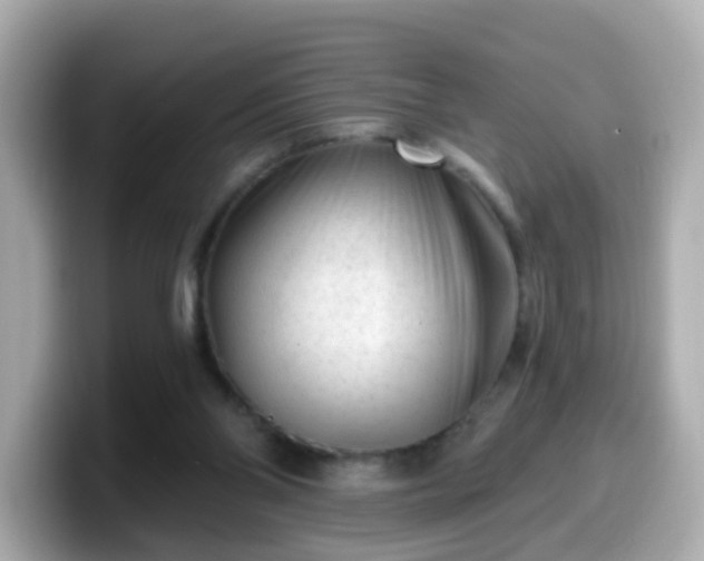 X0000099560110200805231520