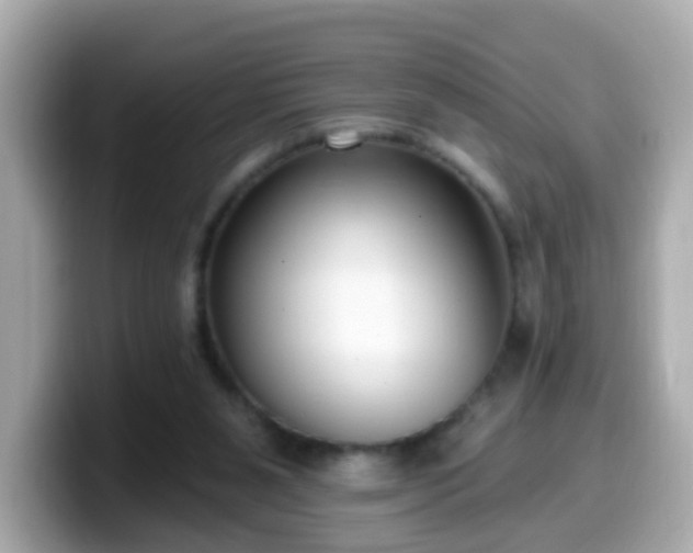 X0000099560111200805231520