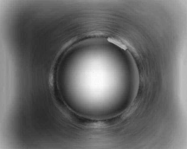 X0000099560112200805231520