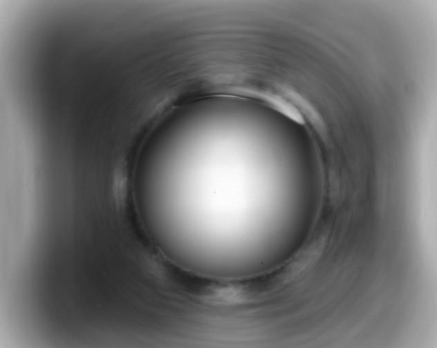 X0000099560113200805231520