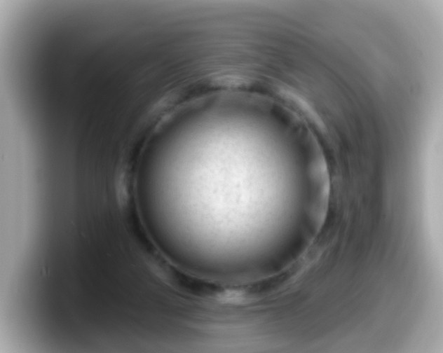 X0000099560114200805231520