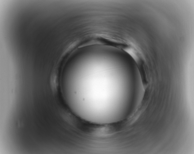 X0000099560116200805231520