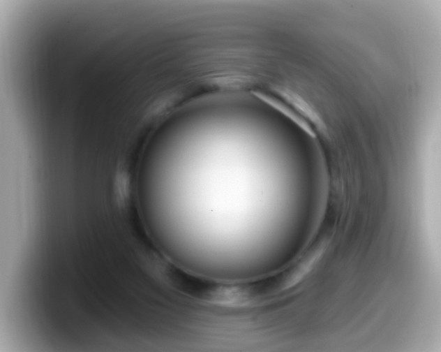 X0000099560117200805231520