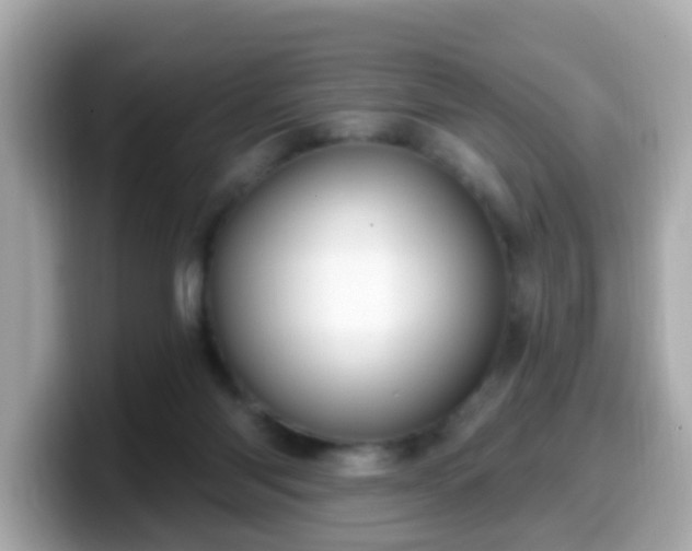 X0000099560118200805231520