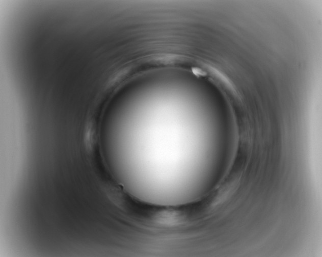 X0000099560119200805231520