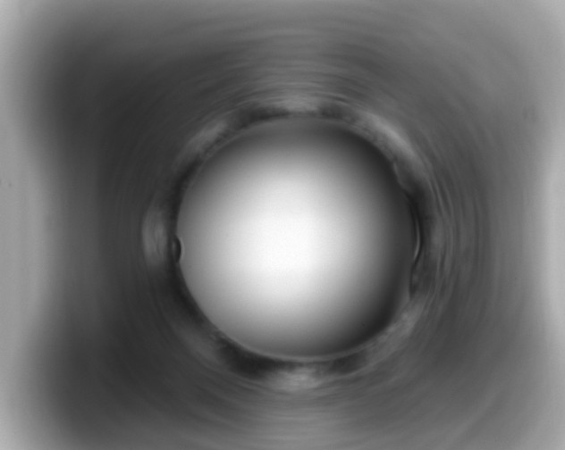 X0000099560120200805231520