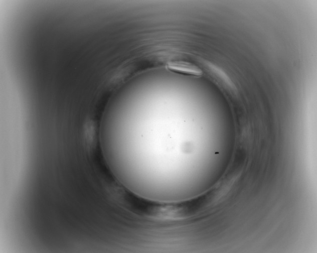 X0000099560121200805231520