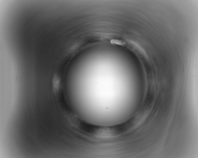 X0000099560123200805231520