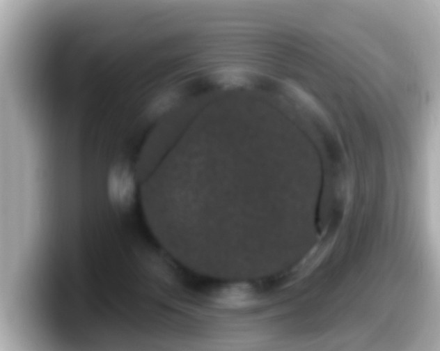 X0000099560124200805231520